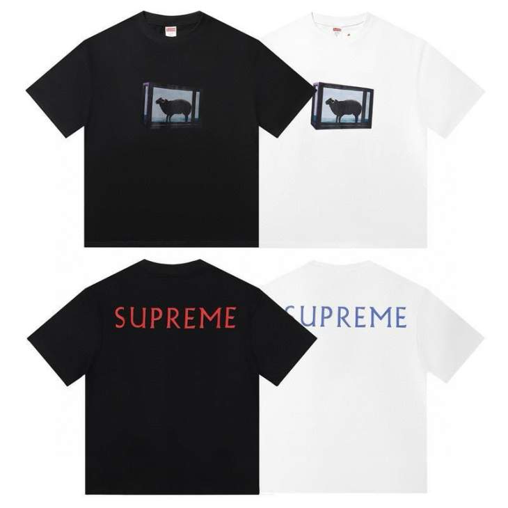 Picture of Supreme T Shirts Short _SKUSupremeS-2XLthtxS1431517